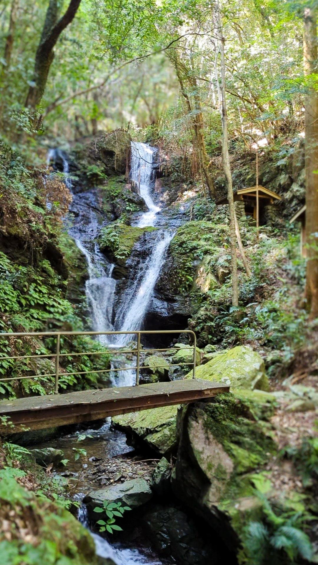 ⛩️ 큰 폭포 부동명왕 금장사 (오타키 후도손 콘조지) 이미지 1